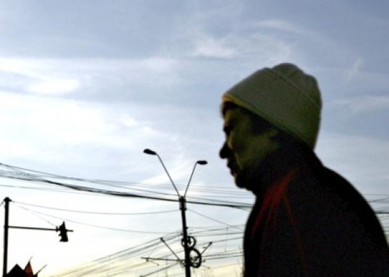 Prinşi la furat cablu telefonic de pe marginea şoselei